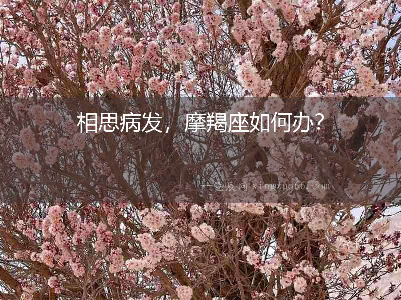 相思病發，摩羯座如何辦？