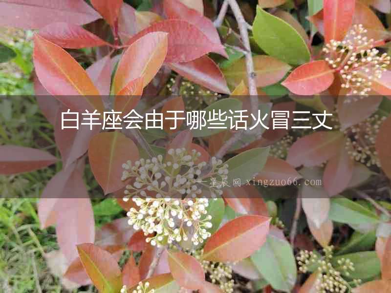白羊座會由于哪些話火冒三丈