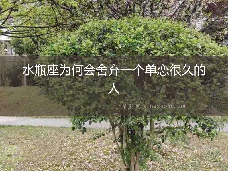 水瓶座為何會舍棄一個單戀很久的人