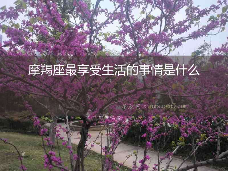 摩羯座最享受生活的事情是什么