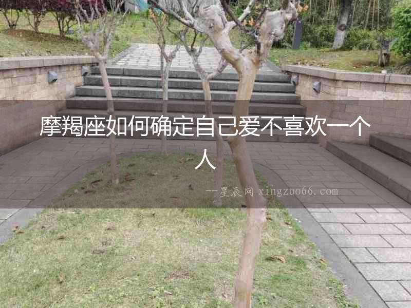 摩羯座如何確定自己愛不喜歡一個人