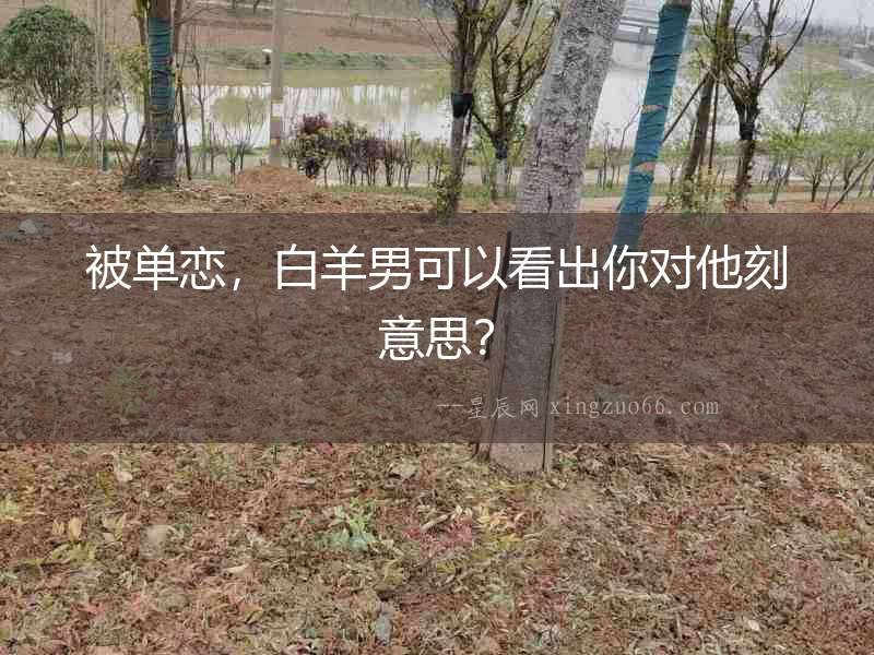 被單戀，白羊男可以看出你對他刻意思？