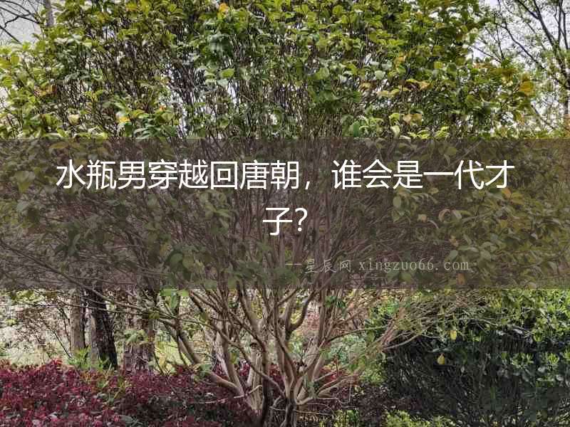 水瓶男穿越回唐朝，誰會(huì)是一代才子？