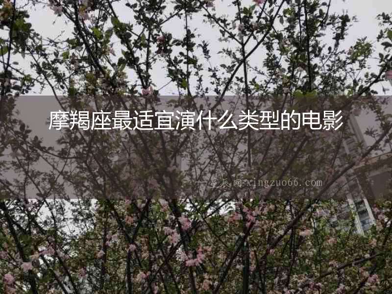 摩羯座最適宜演什么類型的電影