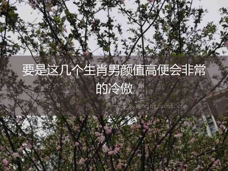 要是這幾個生肖男顏值高便會非常的冷傲