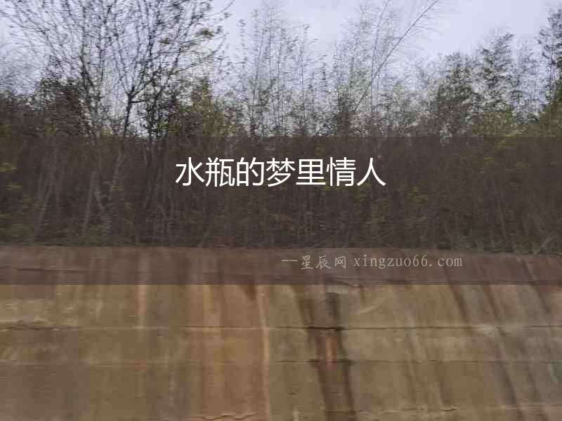 水瓶的夢(mèng)里情人