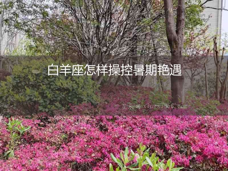 白羊座怎樣操控暑期艷遇