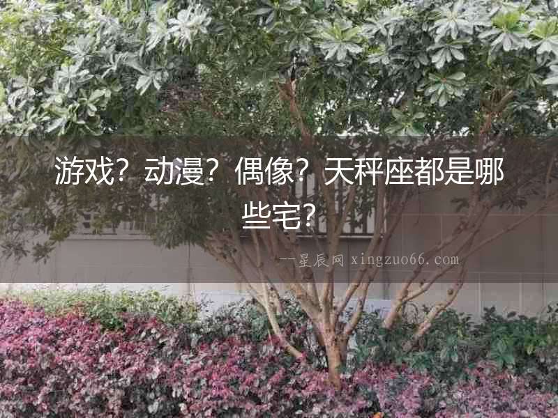 游戲？動漫？偶像？天秤座都是哪些宅？