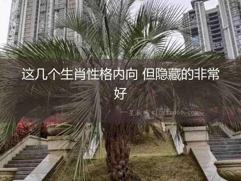 這幾個生肖性格內向 但隱藏的非常好