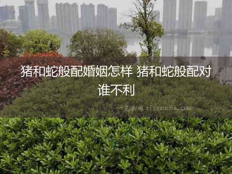 豬和蛇般配婚姻怎樣 豬和蛇般配對(duì)誰不利