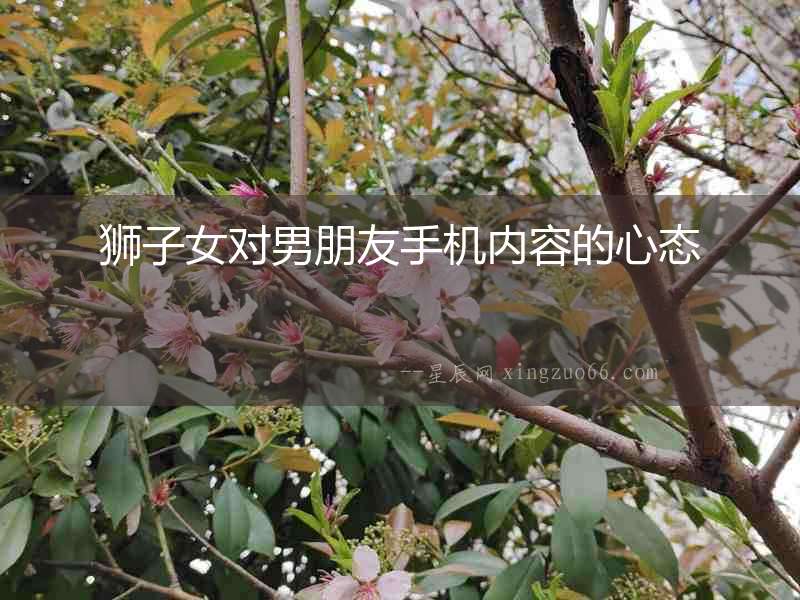 獅子女對(duì)男朋友手機(jī)內(nèi)容的心態(tài)