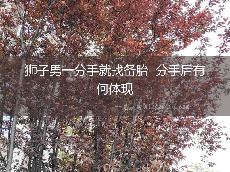 獅子男一分手就找備胎  分手后有何體現