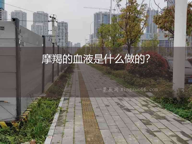 摩羯的血液是什么做的？