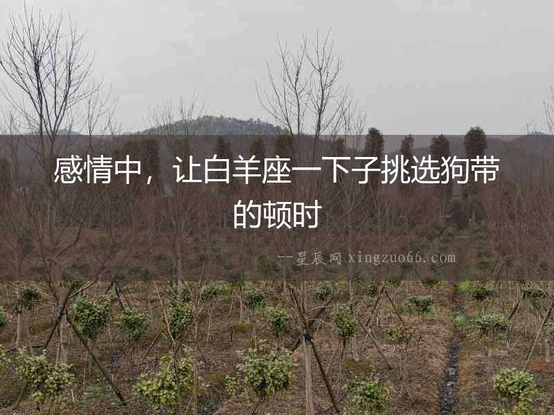 感情中，讓白羊座一下子挑選狗帶的頓時