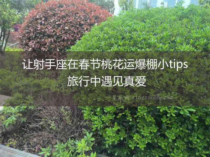 讓射手座在春節(jié)桃花運(yùn)爆棚小tips 旅行中遇見真愛