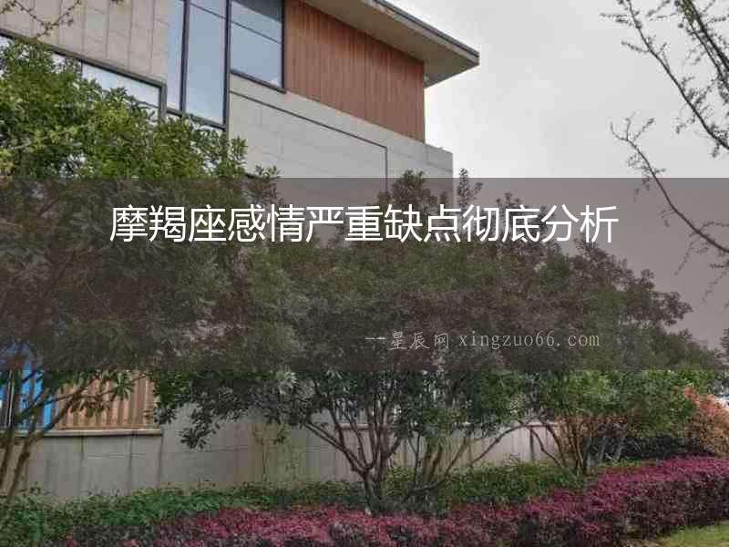摩羯座感情嚴重缺點徹底分析