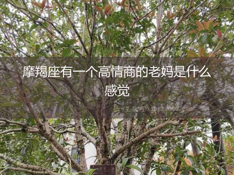 摩羯座有一個高情商的老媽是什么感覺