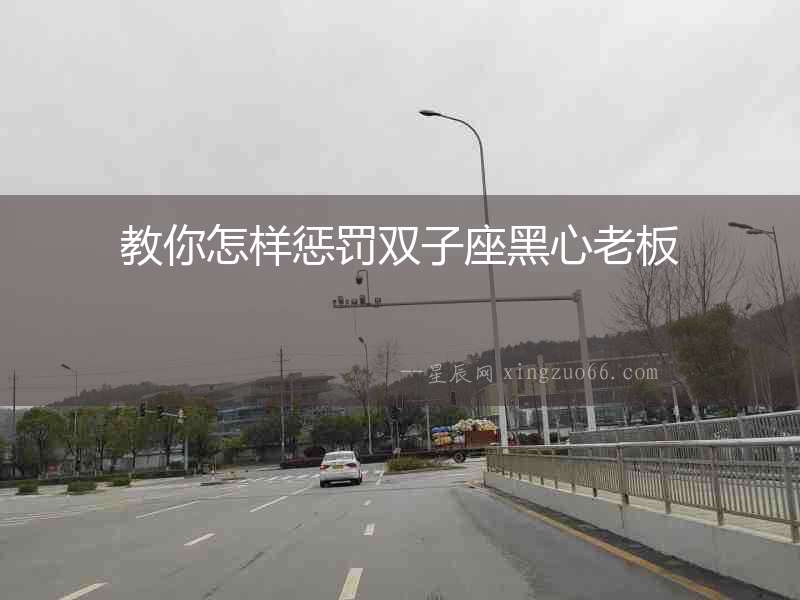 教你怎樣懲罰雙子座黑心老板