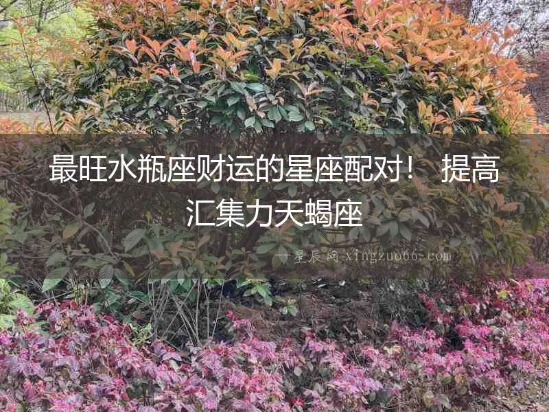 最旺水瓶座財運的星座配對！ 提高匯集力天蝎座