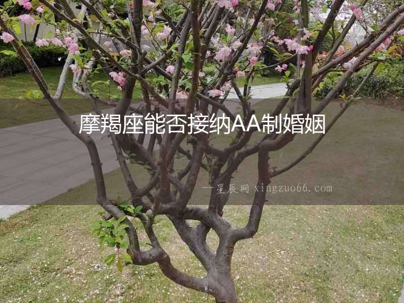 摩羯座能否接納AA制婚姻