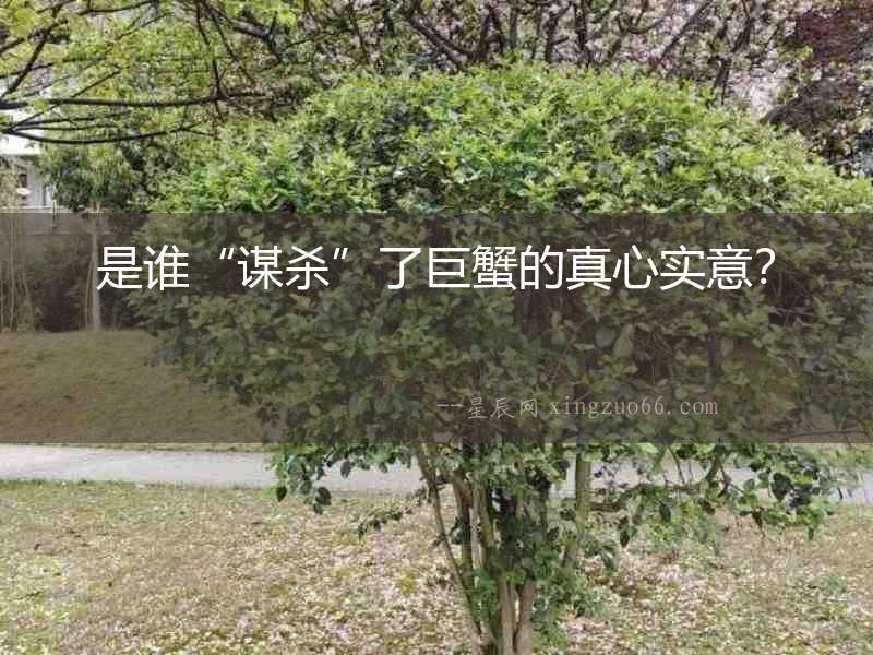 是誰“謀殺”了巨蟹的真心實意？