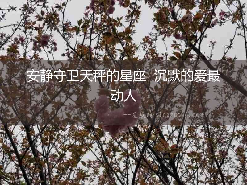 安靜守衛天秤的星座  沉默的愛最動人