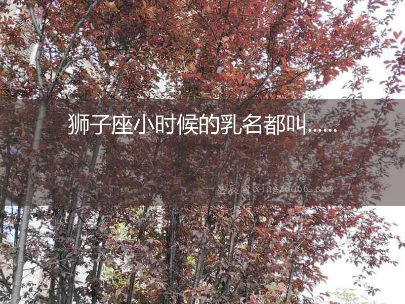 獅子座小時(shí)候的乳名都叫......