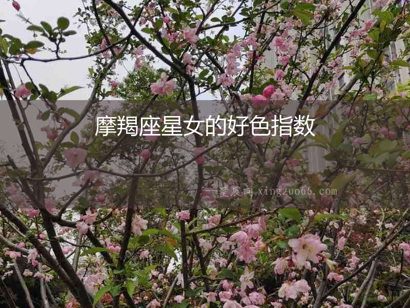 摩羯座星女的好色指數