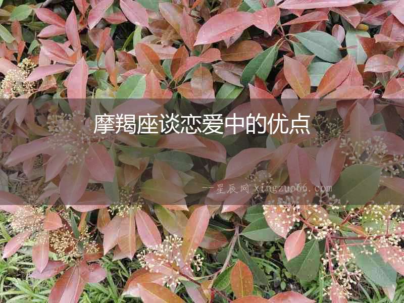 摩羯座談戀愛中的優點