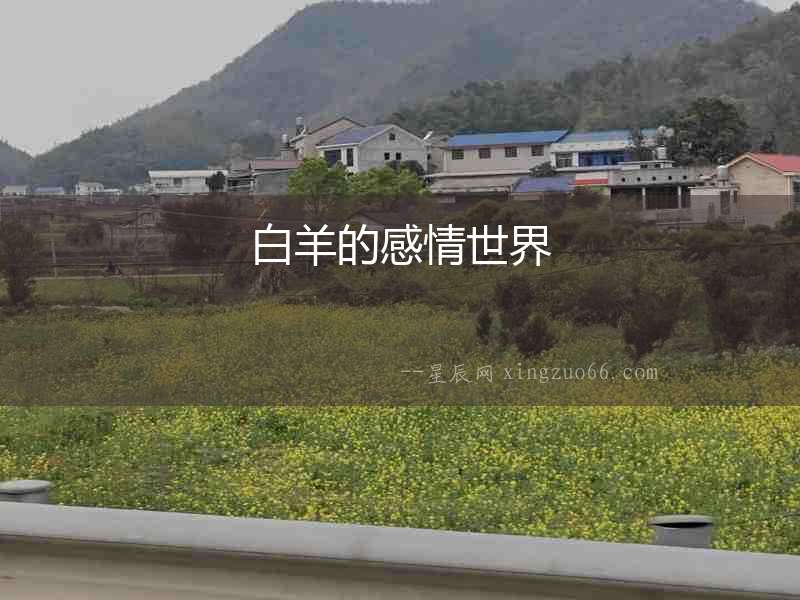 白羊的感情世界