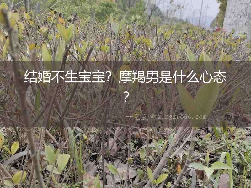 結婚不生寶寶？摩羯男是什么心態？