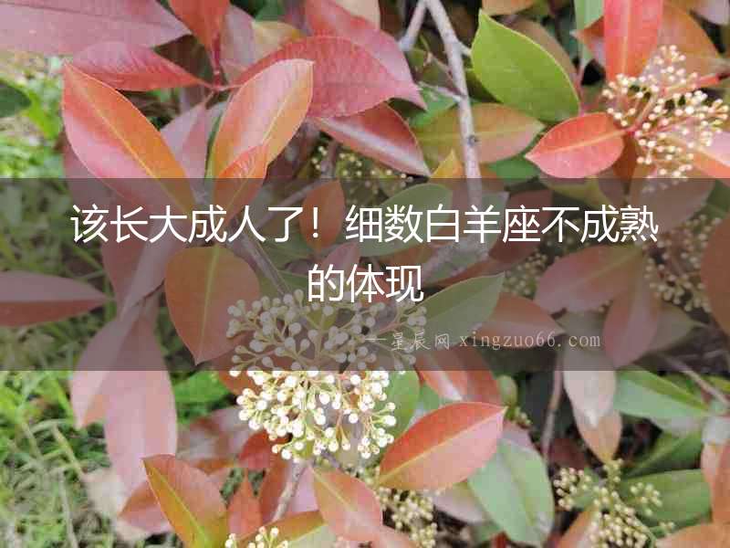 該長大成人了！細數白羊座不成熟的體現