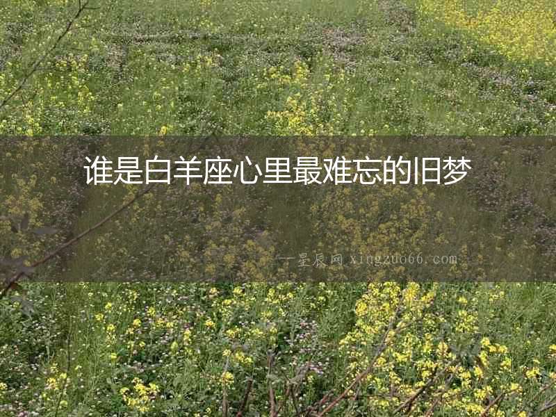 誰是白羊座心里最難忘的舊夢