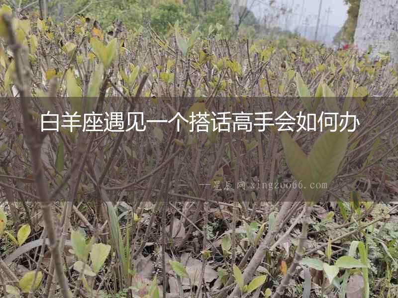 白羊座遇見(jiàn)一個(gè)搭話(huà)高手會(huì)如何辦
