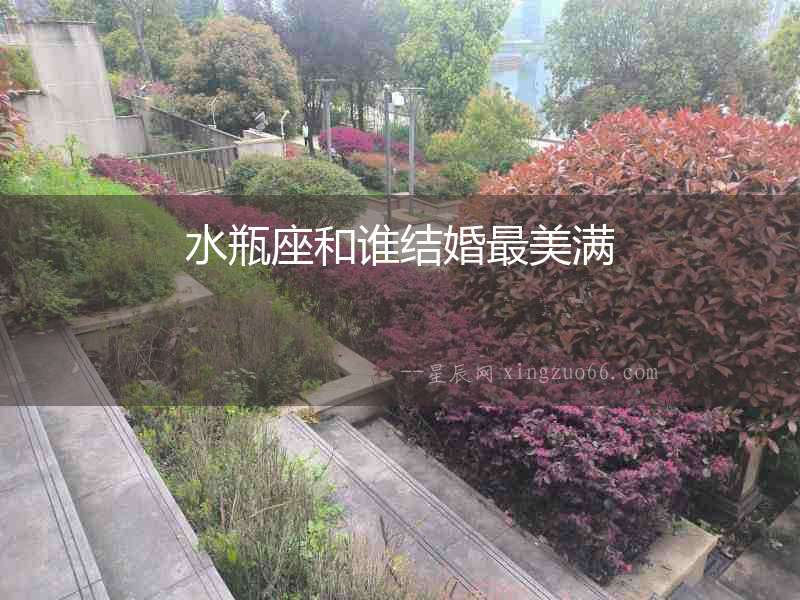 水瓶座和誰結(jié)婚最美滿