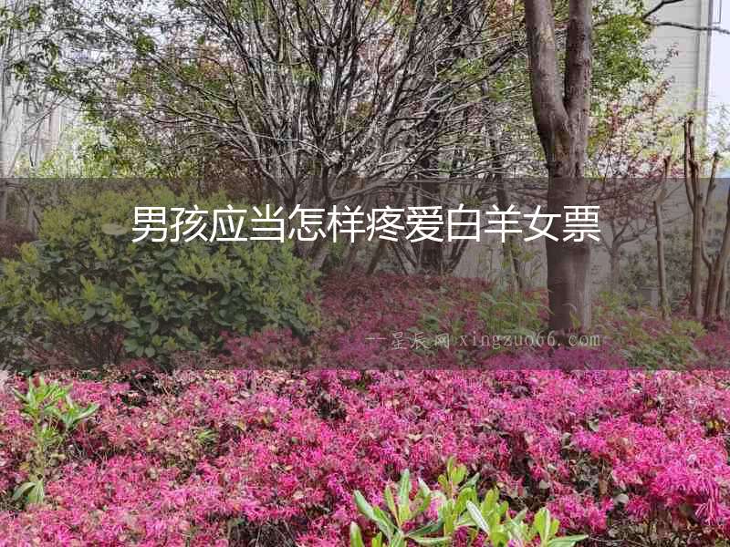 男孩應(yīng)當(dāng)怎樣疼愛白羊女票