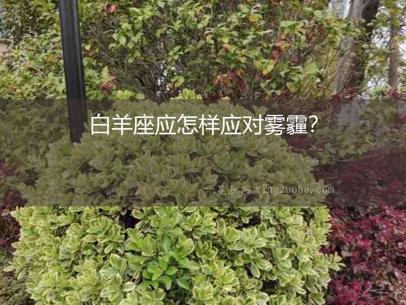 白羊座應怎樣應對霧霾？