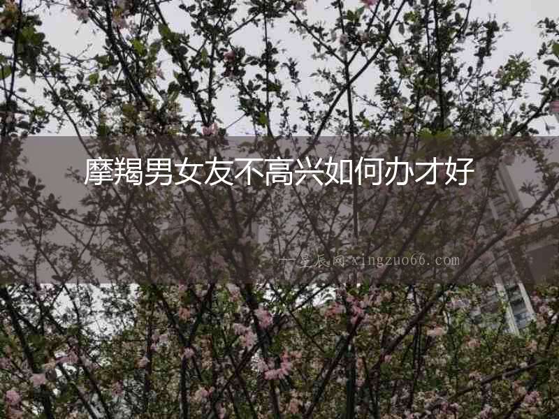 摩羯男女友不高興如何辦才好