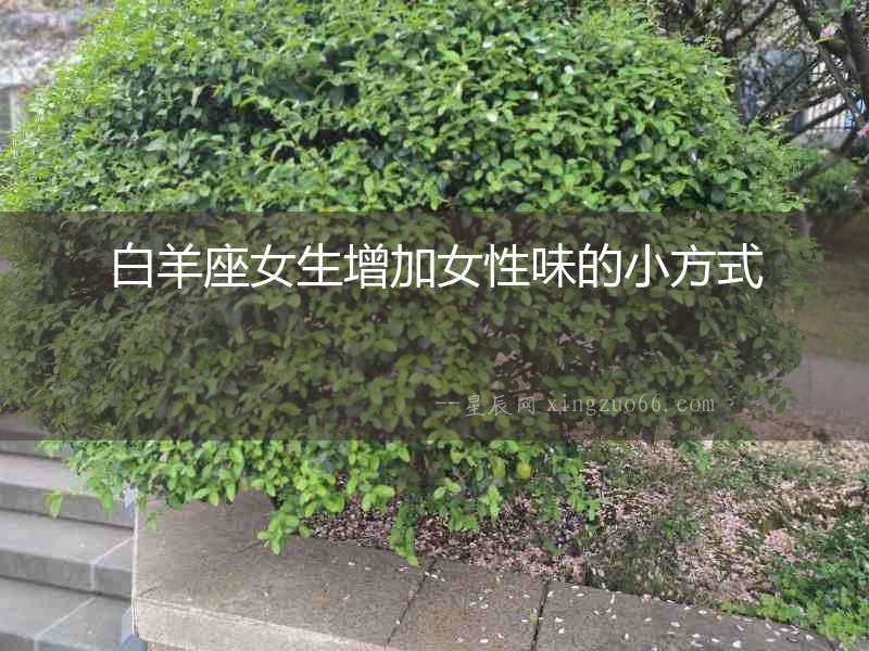 白羊座女生增加女性味的小方式
