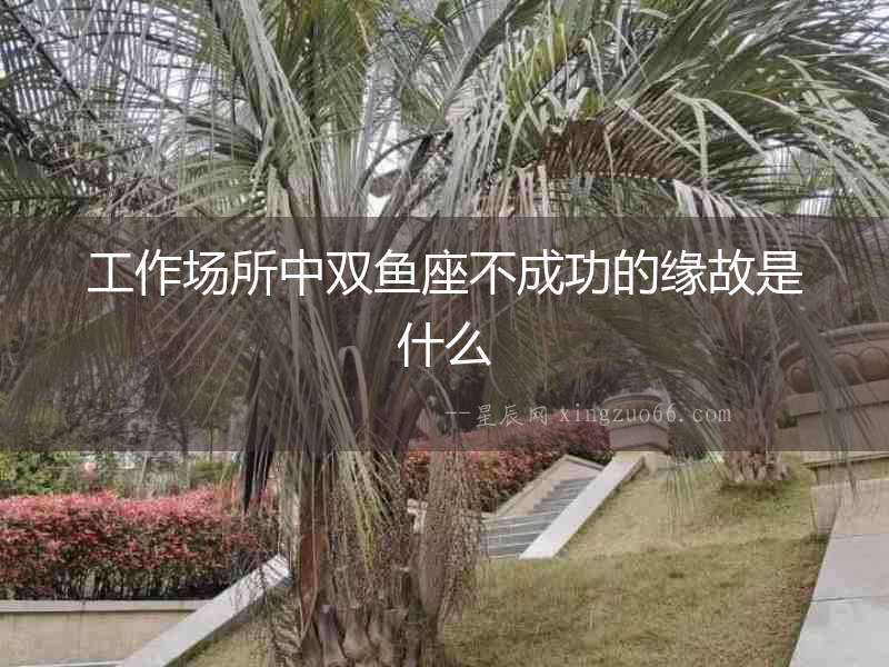 工作場所中雙魚座不成功的緣故是什么