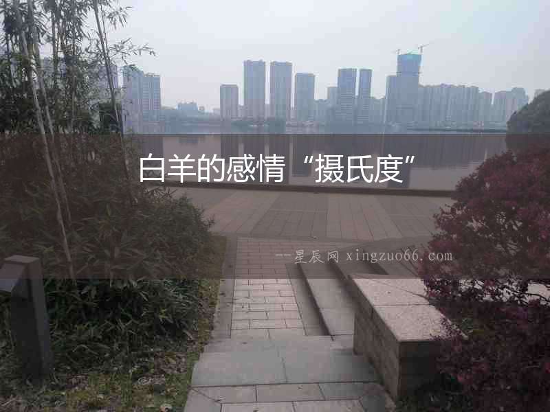 白羊的感情“攝氏度”