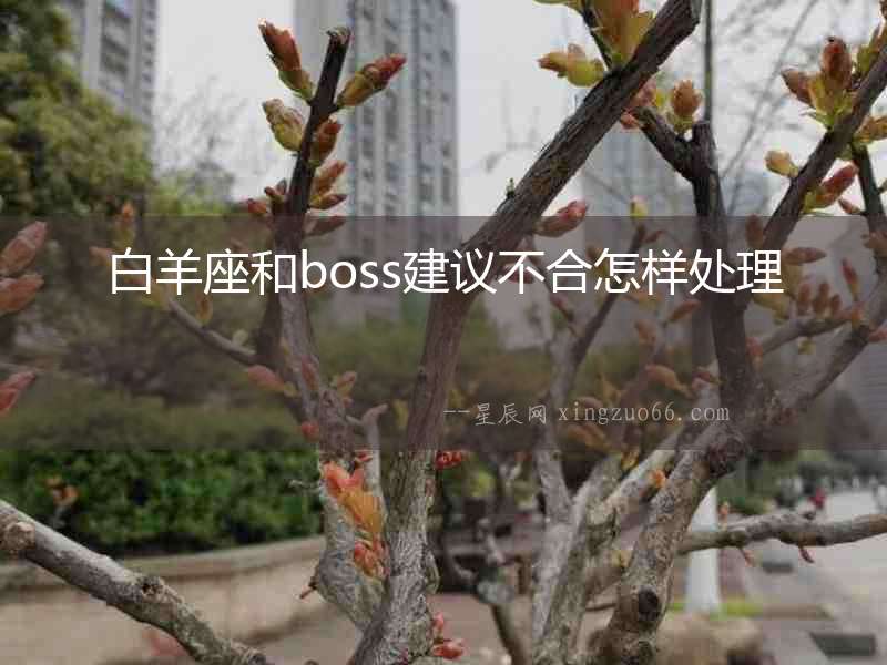 白羊座和boss建議不合怎樣處理