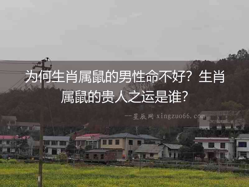為何生肖屬鼠的男性命不好？生肖屬鼠的貴人之運是誰？