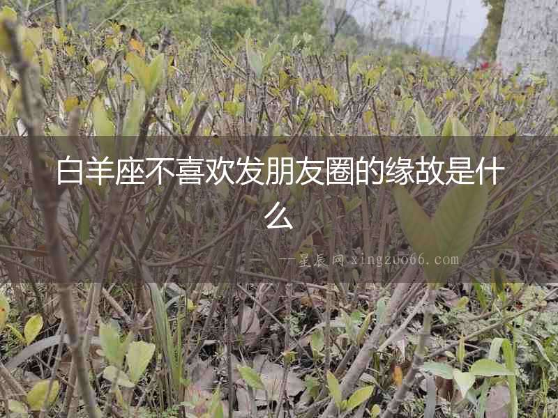白羊座不喜歡發朋友圈的緣故是什么