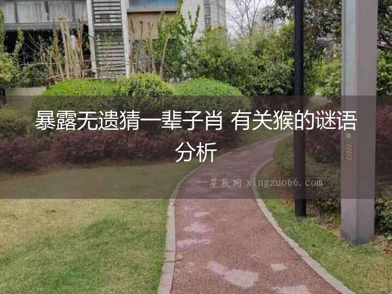 暴露無遺猜一輩子肖 有關猴的謎語分析