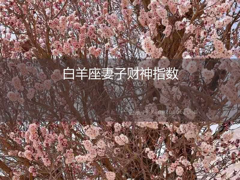白羊座妻子財神指數(shù)