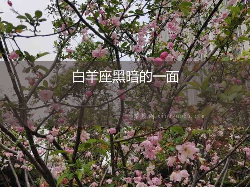 白羊座黑暗的一面