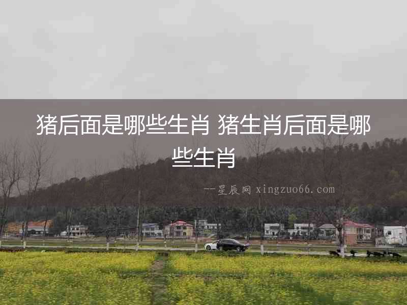 豬后面是哪些生肖 豬生肖后面是哪些生肖