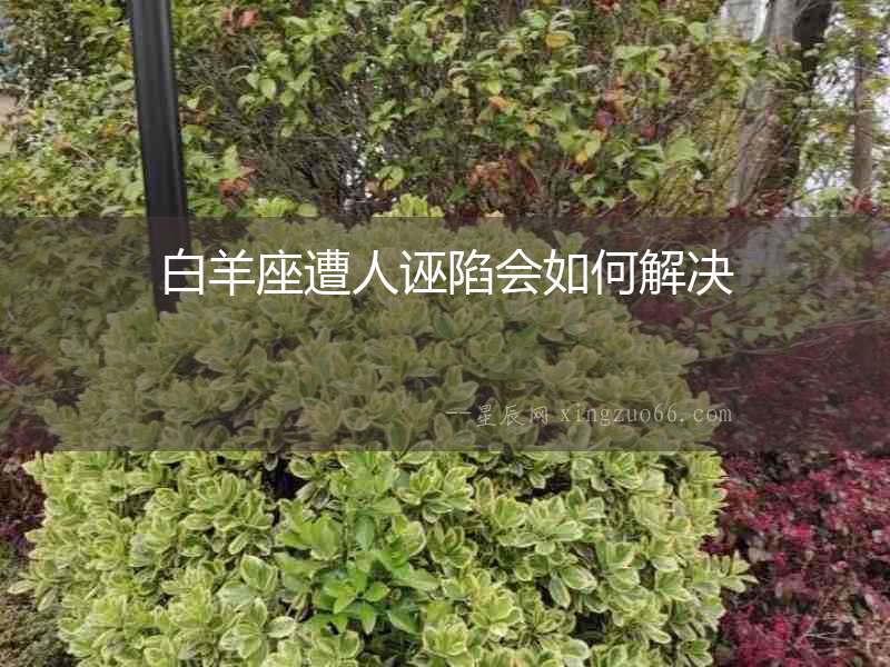 白羊座遭人誣陷會如何解決