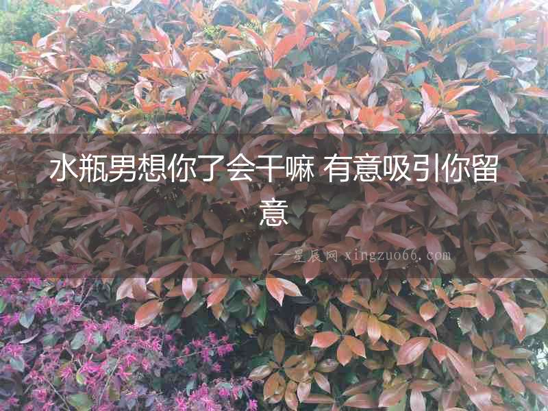水瓶男想你了會(huì)干嘛 有意吸引你留意